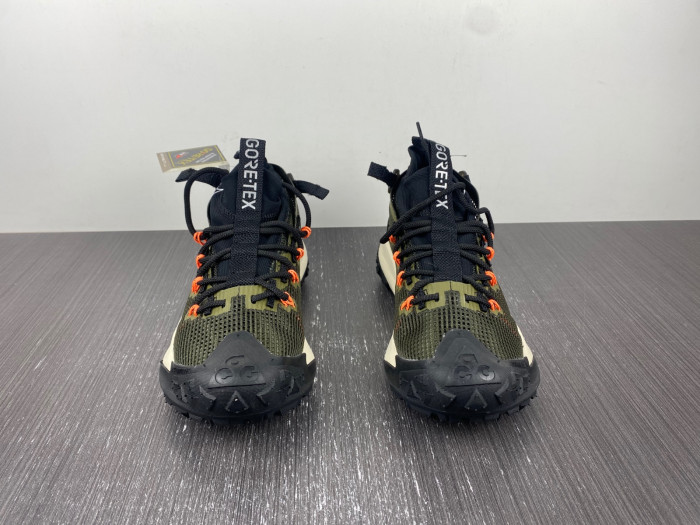 Nike ACG MOUNTAIN FLY LOW 