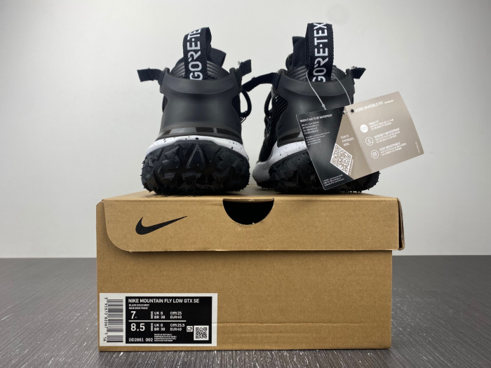 Nike ACG MOUNTAIN FLY LOW ''FOSSIL'' BV01