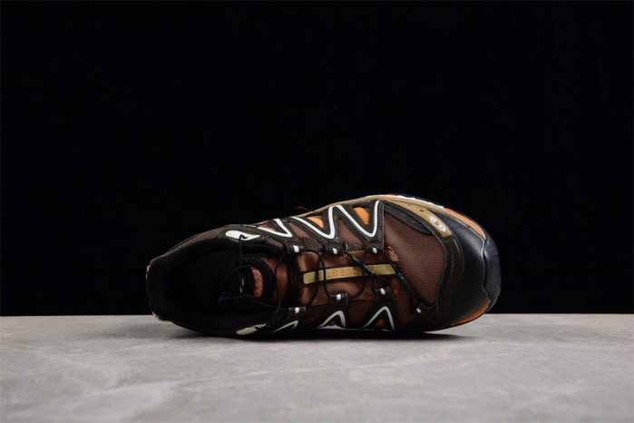 Salomon XT-Quest ADV "Beige" 473360-28