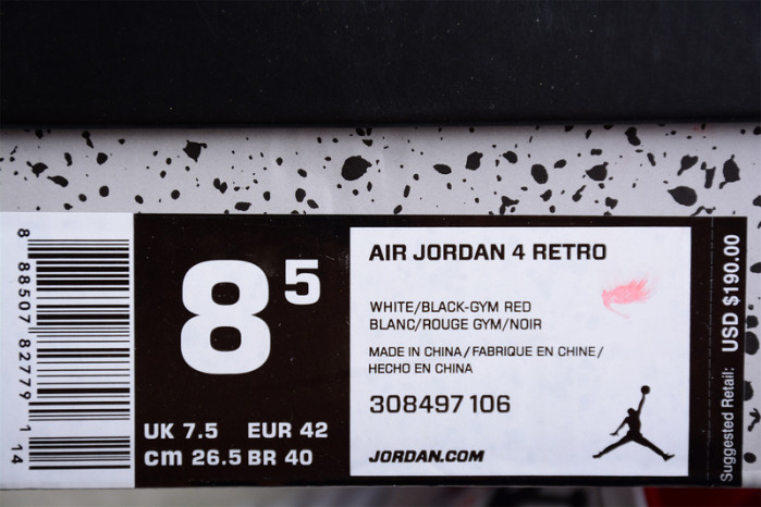 Jordan 4 Retro Alternate 89 308497-106