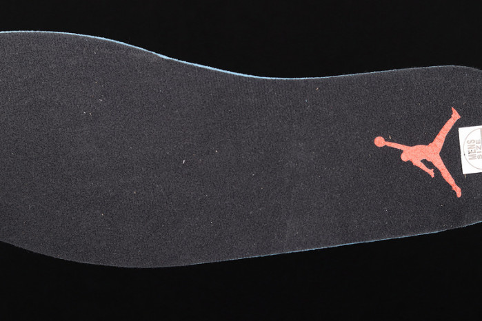 AIR JORDAN 12 “TWIST” CT8013-106