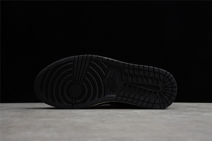 AIR JORDAN 1 RETRO HIGH PATINA 555088-033