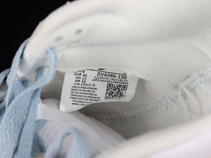 Nike SB Dunk Low DV6486-100