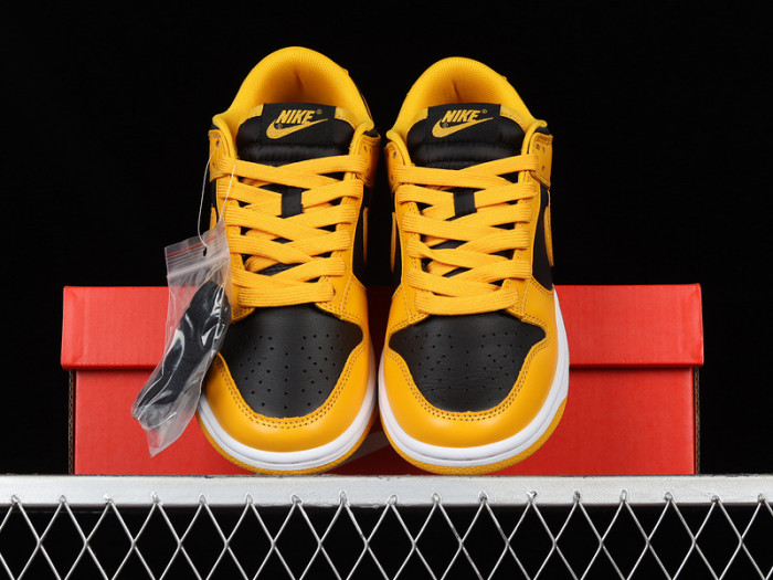 nike dunk low G01denrod (2021) - dd1391-004