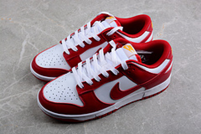NIKE Dunk Low SG DD1391-602
